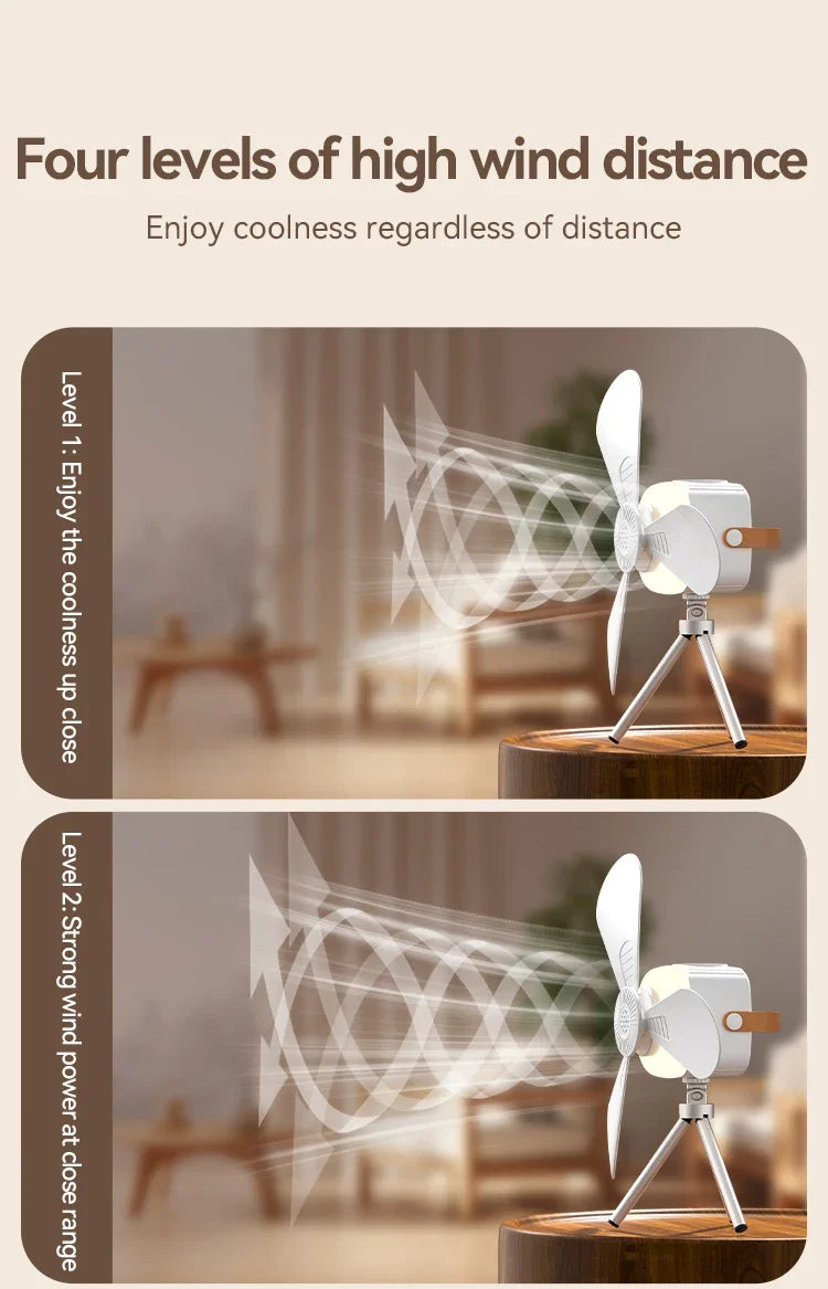 Portable Rechargeable Ceiling Fan